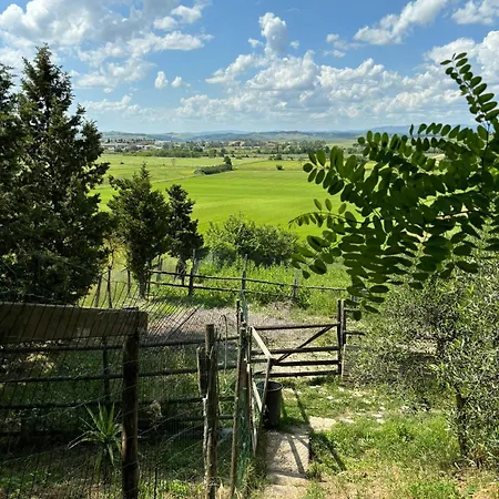 Πανσιόν La Torre Di Viepri Asciano