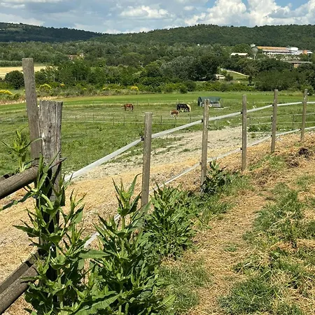 Πανσιόν La Torre Di Viepri