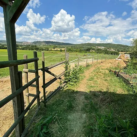 La Torre Di Viepri Πανσιόν