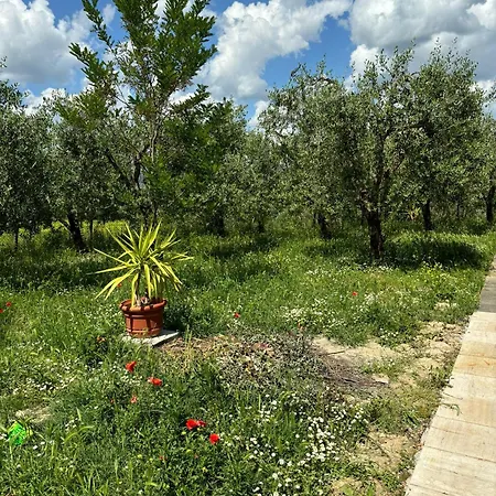 La Torre Di Viepri Πανσιόν Asciano