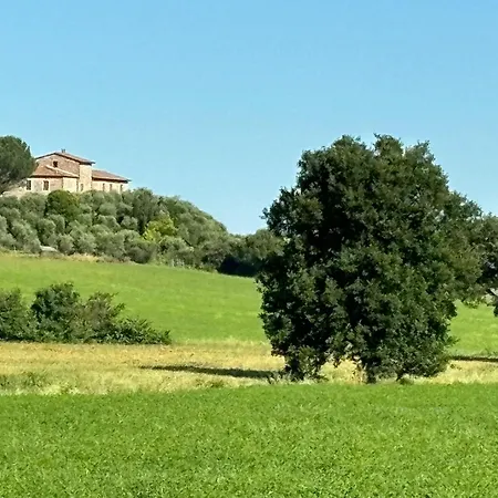 La Torre Di Viepri
